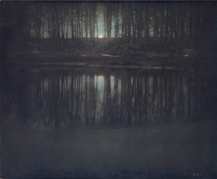 The Pond - Moonlight